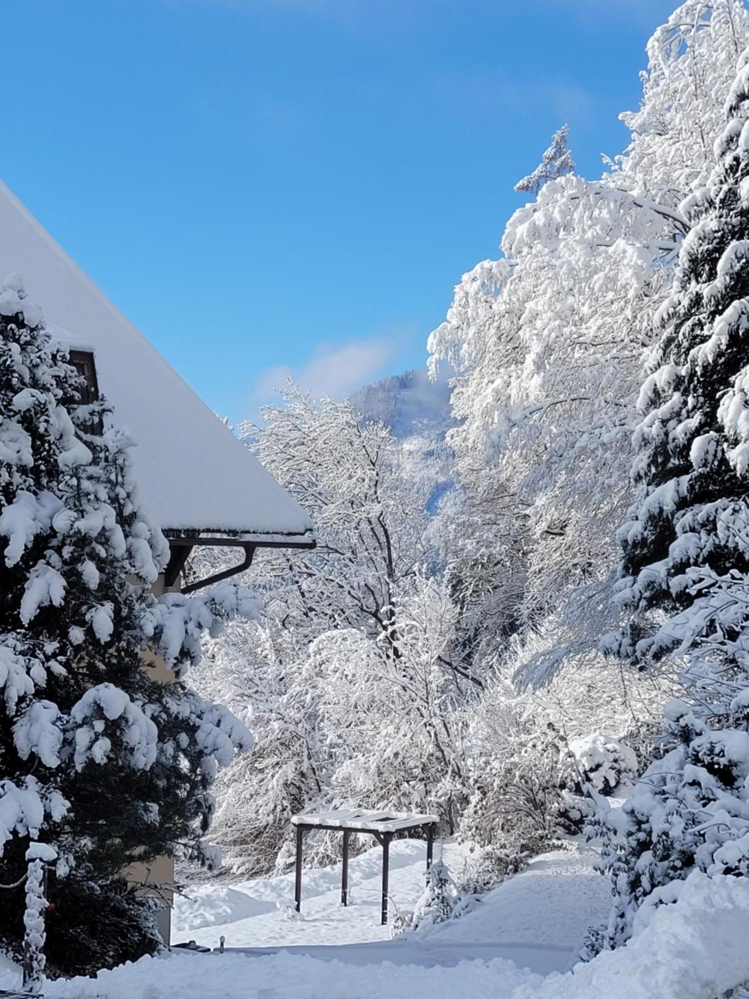 Jaeger Guesthouse Annenheim Εξωτερικό φωτογραφία